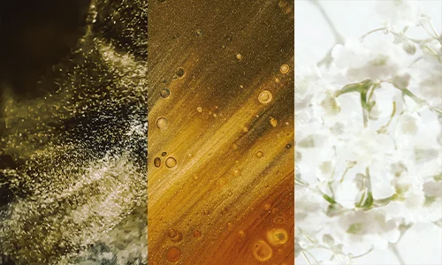 Shikakai Extract + Date Seed Extract + Gypsophila Root